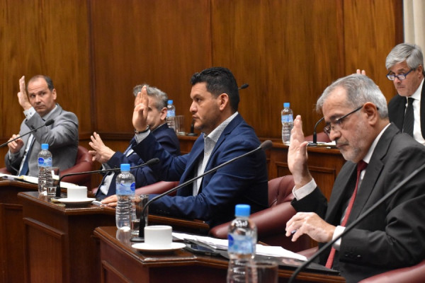 El Senado convirtió en ley el Presupuesto 2026