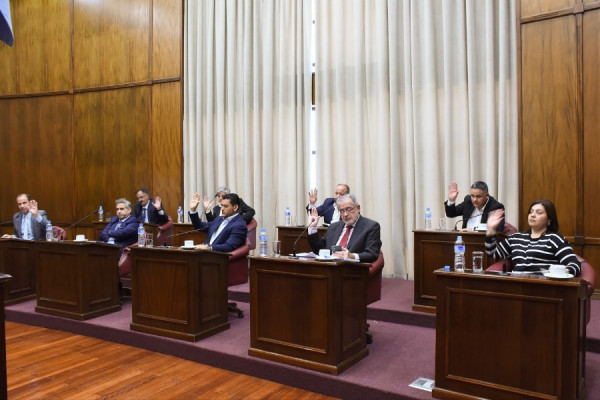 El Senado declaró de interés legislativo actividades educativas y culturales en San Luis