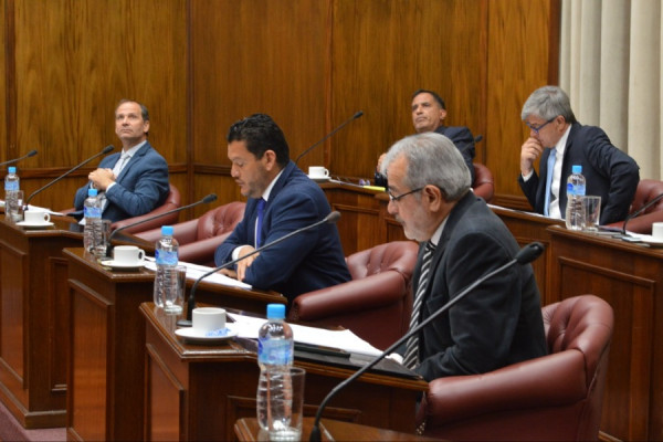 El proyecto de ley para la disposición de vehículos tiene media sanción del Senado