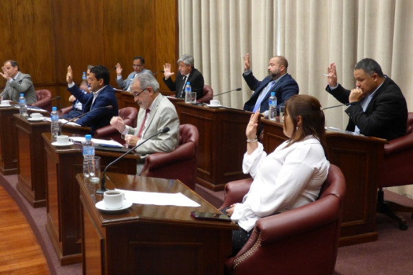 Media sanción al proyecto que regula el decomiso anticipado y definitivo de armas de fuego