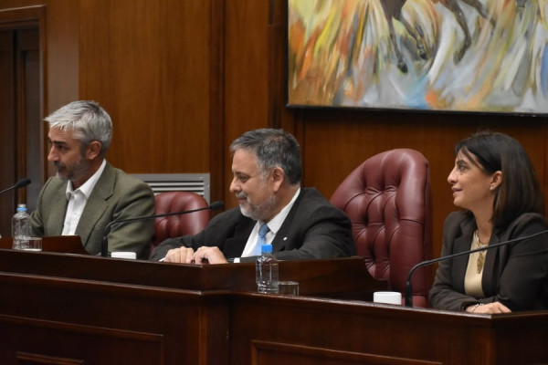 Descripción de la imagen