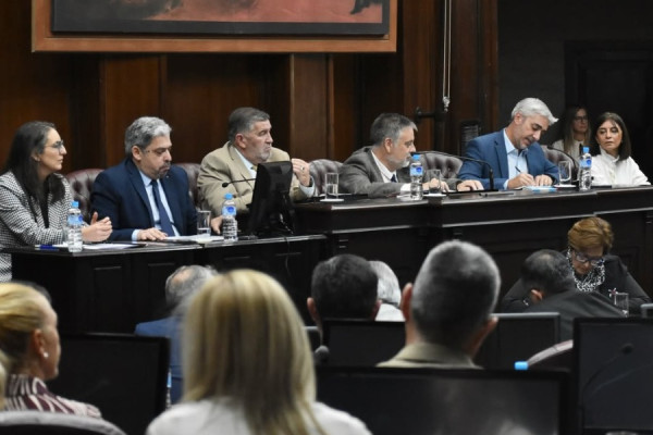 Descripción de la imagen