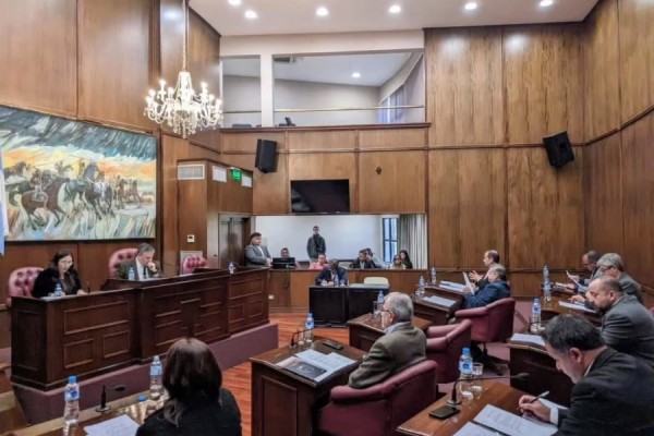 El Senado declaró de interés legislativo y homenajeó a Pringles en la sesión del 14 de mayo