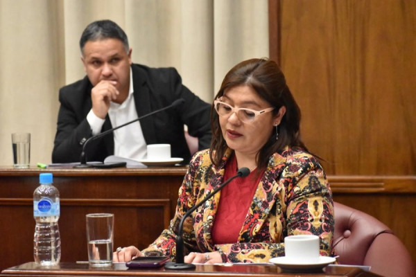 El Senado aprobó medidas fiscales, judiciales y sociales, y declaró reconocimiento deportivo