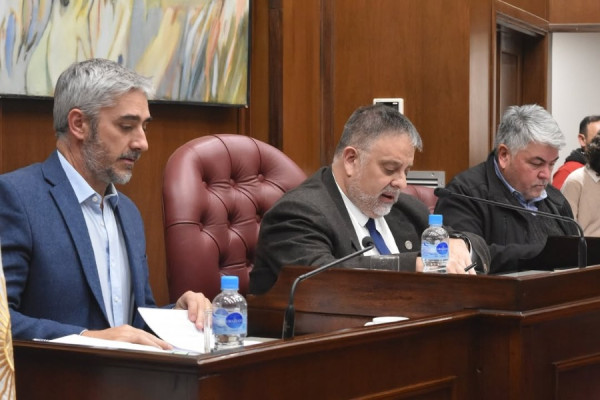 El Senado aprobó reformas clave y declaró actividades de interés legislativo