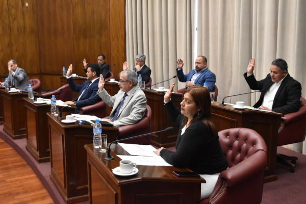 El Senado aprobó nuevos proyectos culturales y educativos