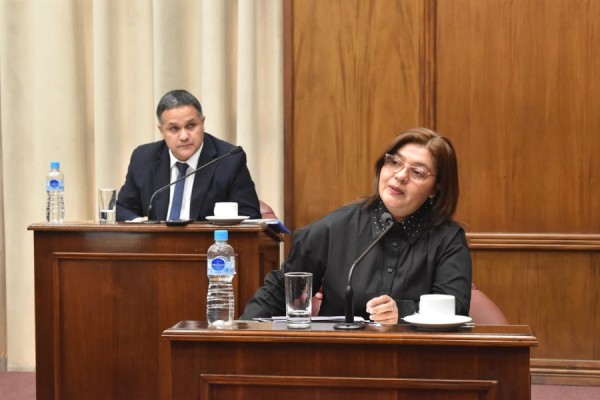El Senado declaró de interés un festival internacional y aprobó la regularización de pensiones policiales