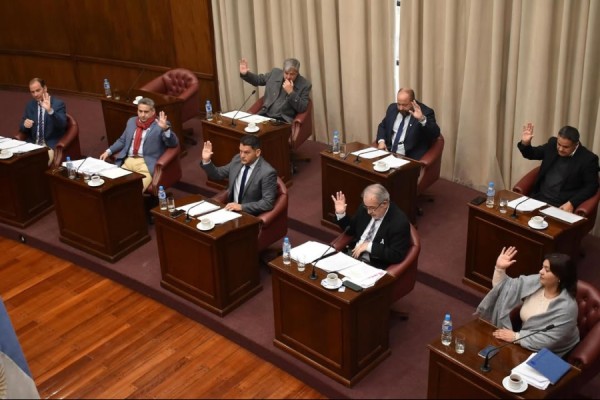 El Senado impulsa comisiones para reformar la Constitución y analizar el sistema electoral