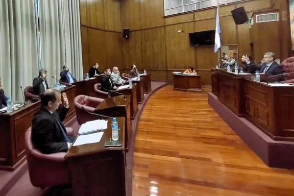 El Senado conformó comisiones y fijó fecha de audiencia pública en la sesión del 16 de abril
