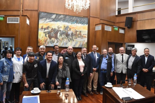 El Senado designó comisiones, fijó audiencia y declaró proyectos de interés legislativo