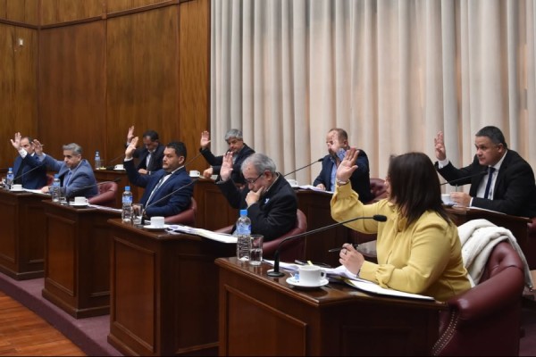 El Senado suspendió la desfederalización de causas por drogas y rechazó la Cuenta de Inversión 2023