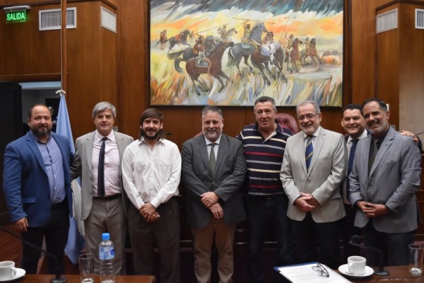El Senado aprobó nuevos proyectos productivos, educativos y judiciales