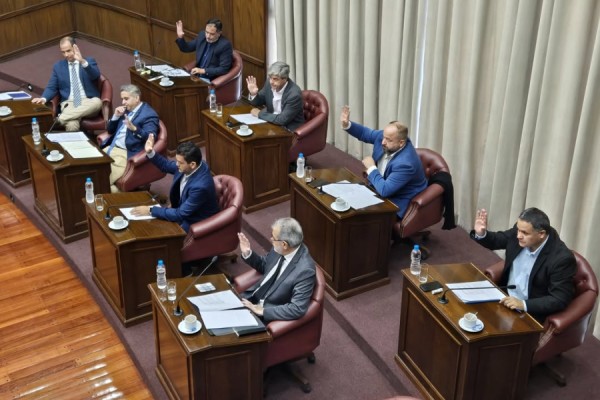 El Senado conformó comisiones para 2025 y aprobó iniciativas educativas y judiciales