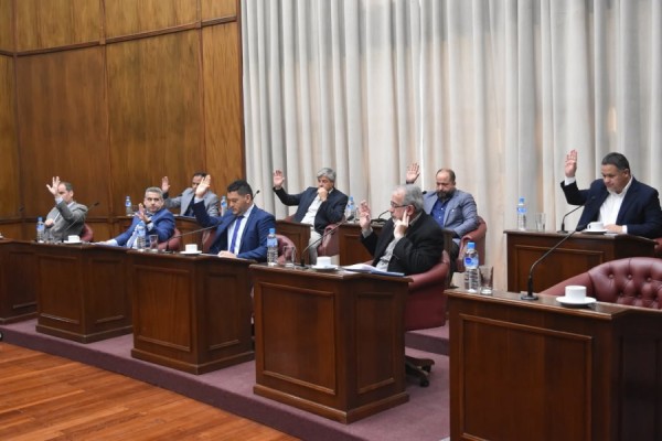 El Senado fijó audiencia pública y aprobó pedidos de informe y una declaración de interés