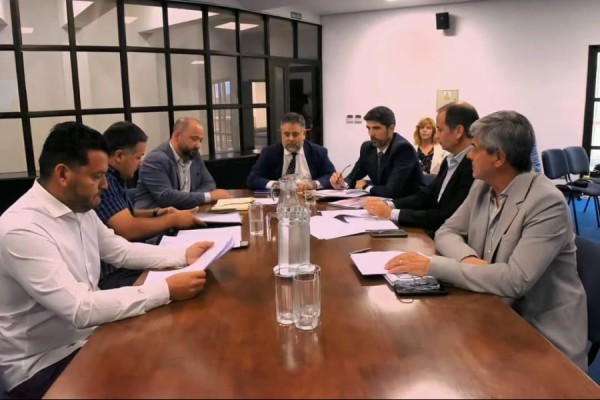 El ministro Ordóñez expuso sobre la crisis financiera provincial en el Senado