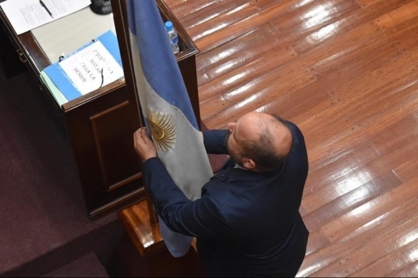 El Senado aprobó la venta de la Casa de San Luis en Buenos Aires y el regreso al CFI