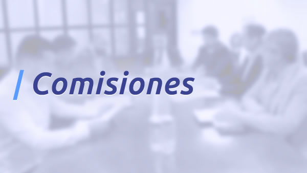 Comisiones Permanentes de Trabajo